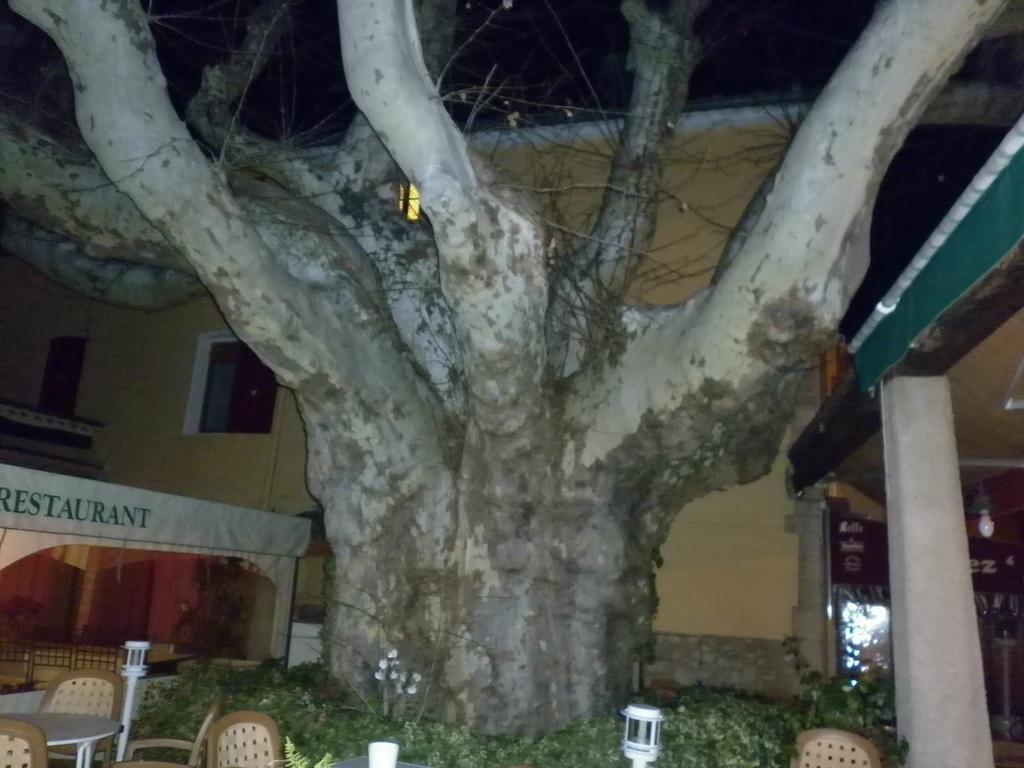 Le Grand Hotel Aups Εξωτερικό φωτογραφία